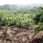 Samar, Filipini 5.4.2017